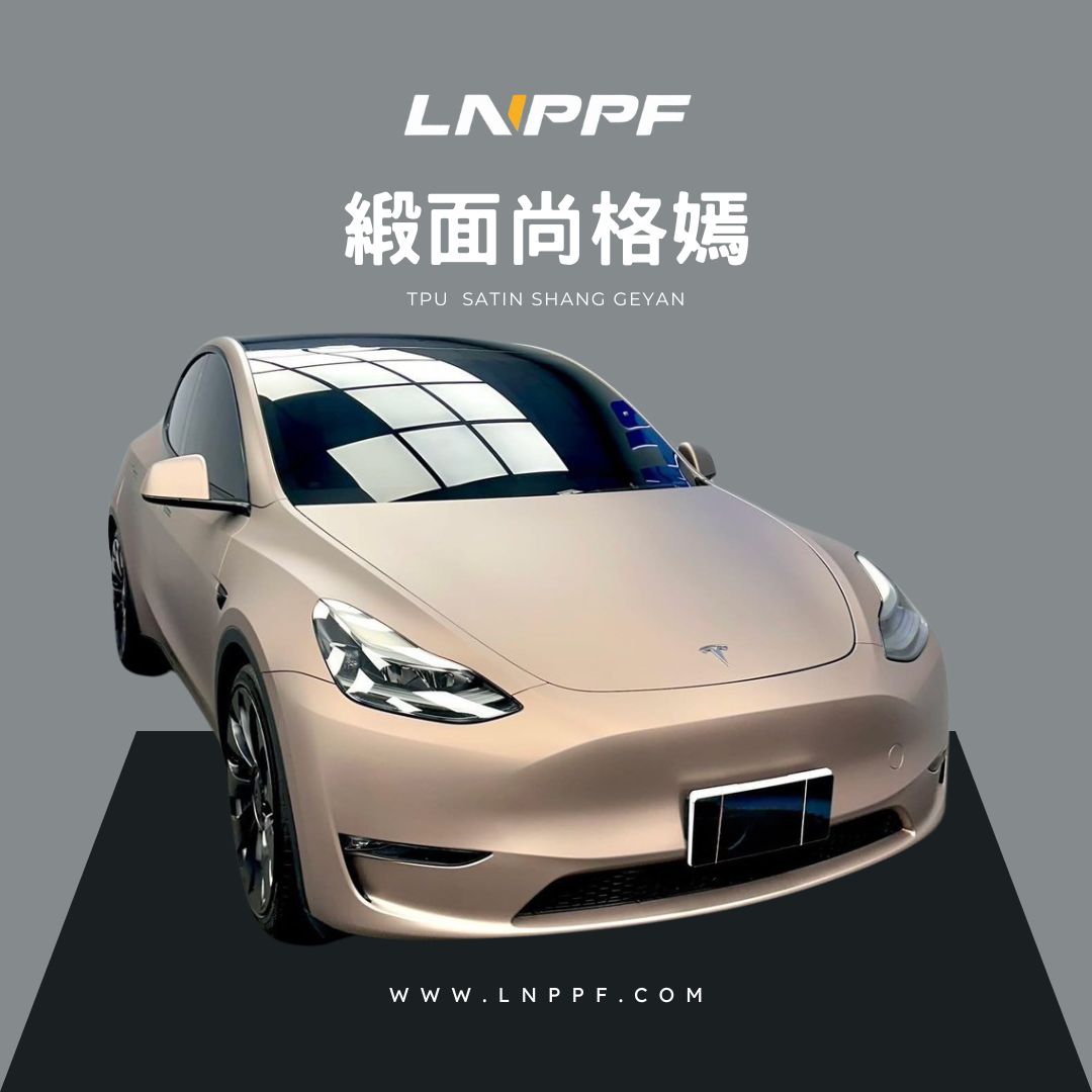 緞面尚格嫣.jpg